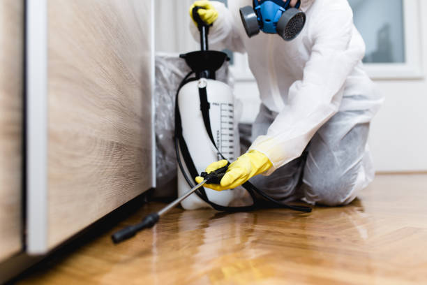 Pest Control Cost in Aberdeen, MS