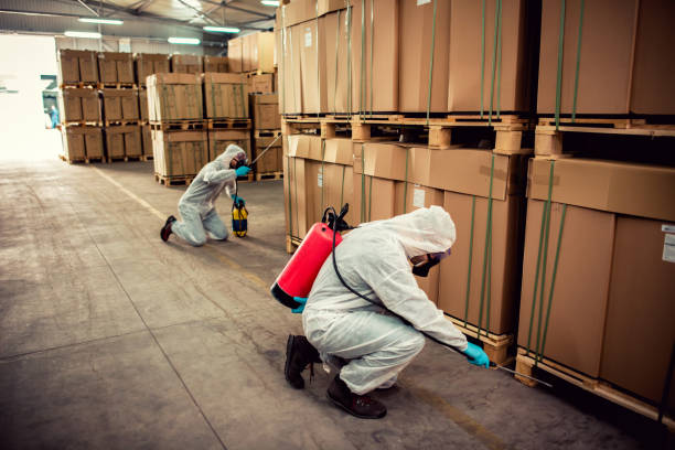 Best Wasp Removal Services  in Aberdeen, MS