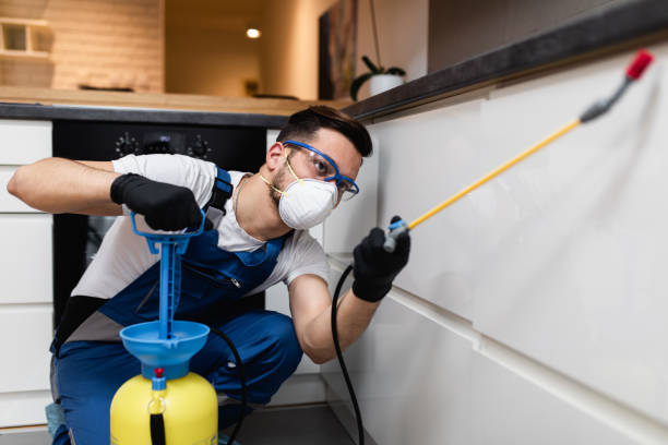 Best Ant Control Services  in Aberdeen, MS
