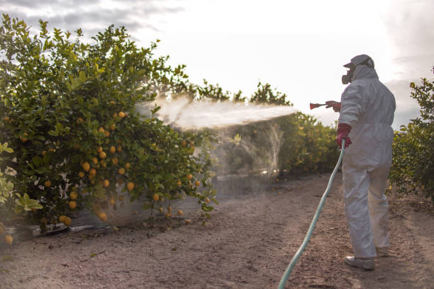 Best Local Pest Control Services  in Aberdeen, MS
