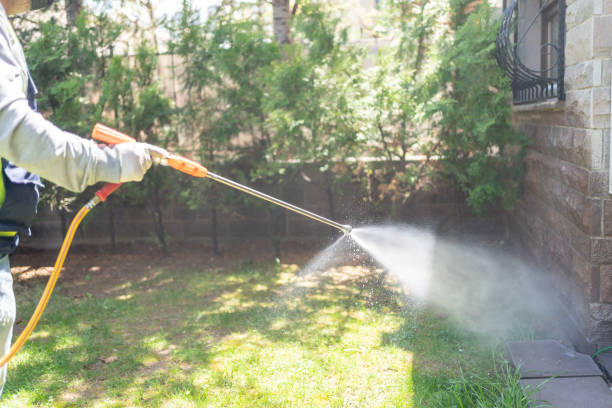 Best Termite Control Services  in Aberdeen, MS