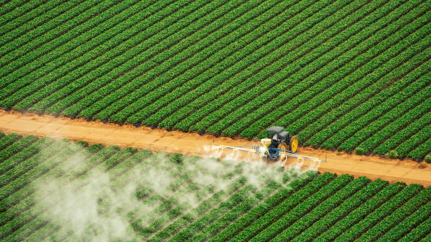 Best Emergency Pest Control  in Aberdeen, MS
