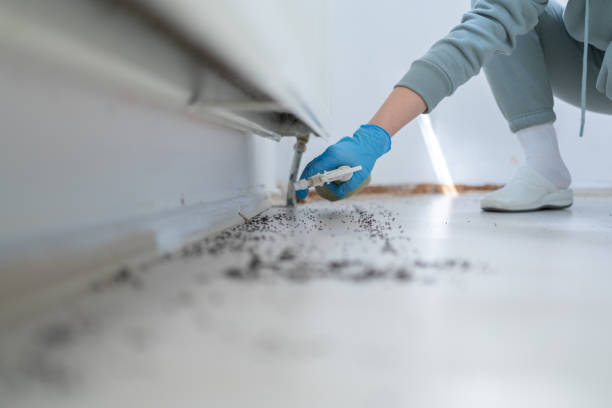 Best Rat Extermination Near Me  in Aberdeen, MS