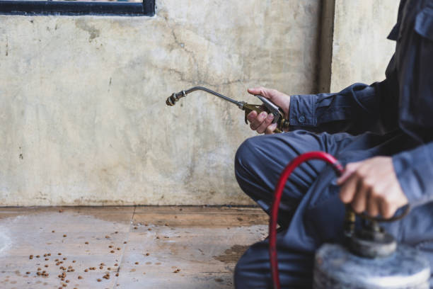 Best Pest Prevention Services  in Aberdeen, MS