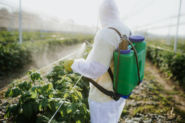 Best Residential Pest Control  in Aberdeen, MS
